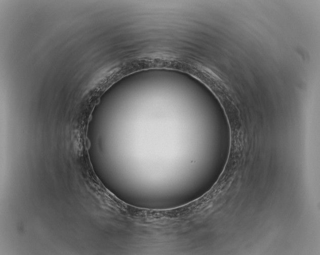 X0000112800774200908281527