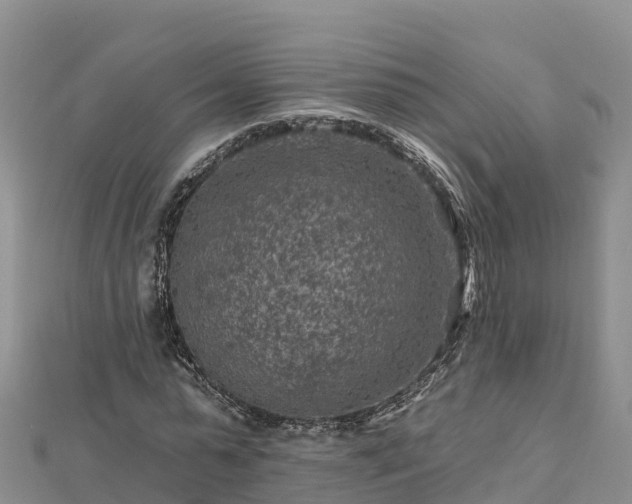 X0000112800775200908281527