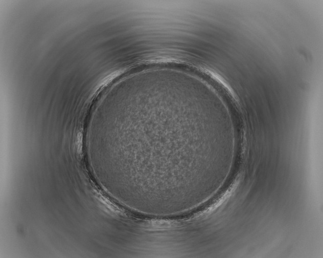 X0000112800777200908281527