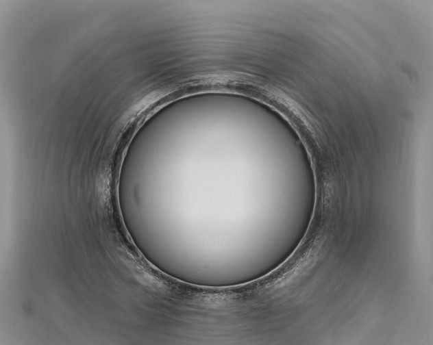X0000112800778200908281527