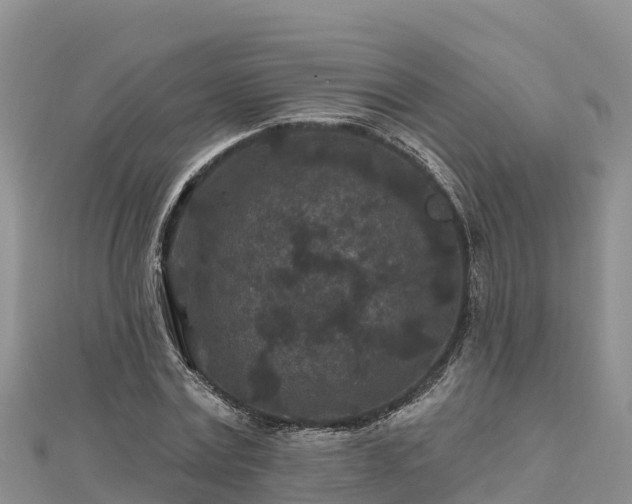 X0000112800779200908281527