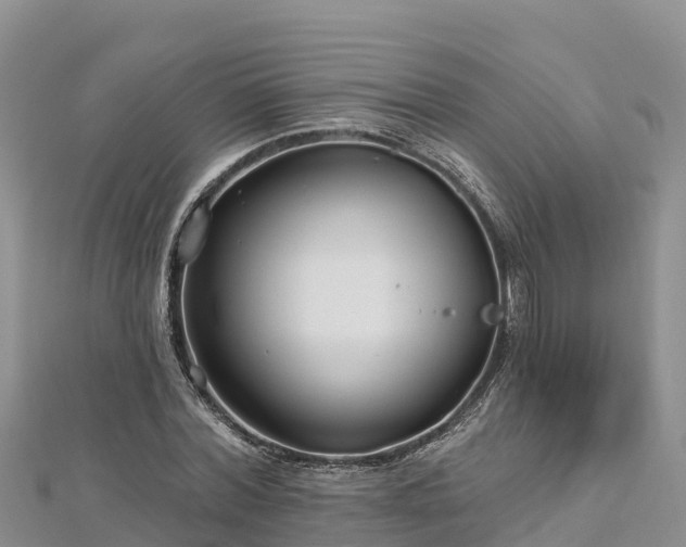 X0000112800780200908281527