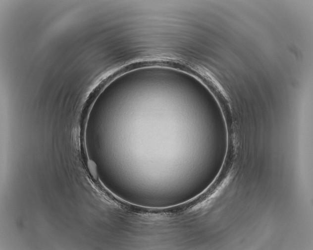 X0000112800781200908281527