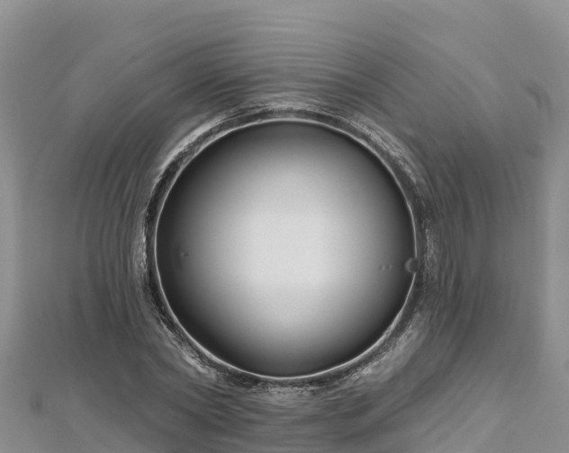 X0000112800782200908281527