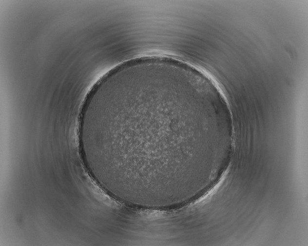X0000112800783200908281527
