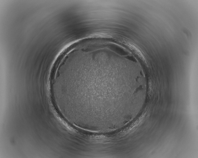 X0000112800784200908281527
