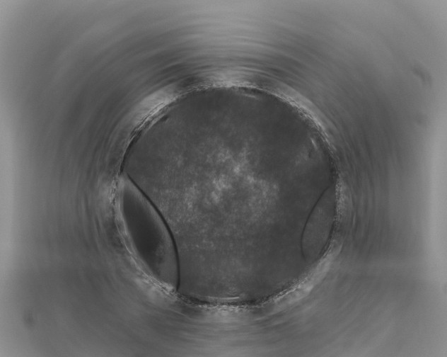 X0000112800785200908281527