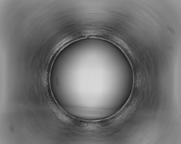 X0000112800786200908281527
