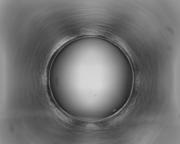 X0000112800787200908281527