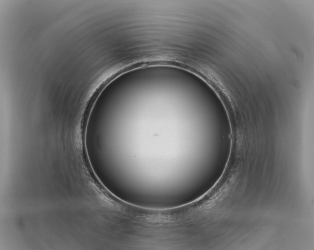 X0000112800789200908281527