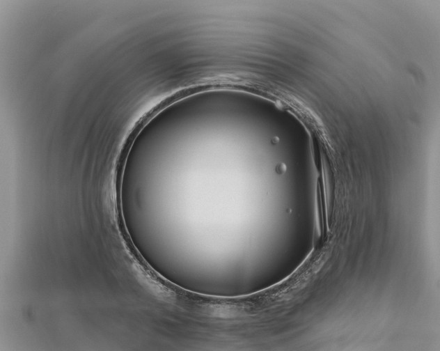 X0000112800792200908281527