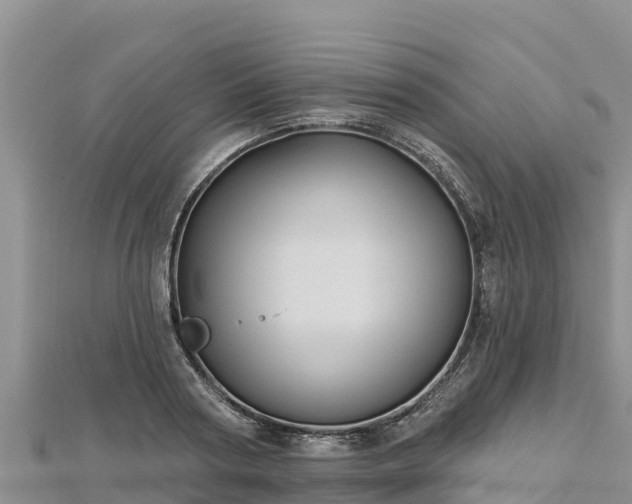 X0000112800794200908281527