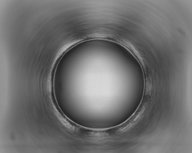 X0000112800795200908281527