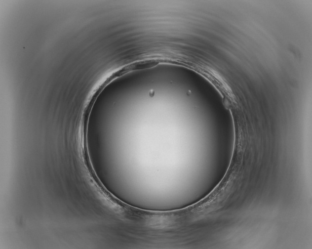 X0000112800796200908281527