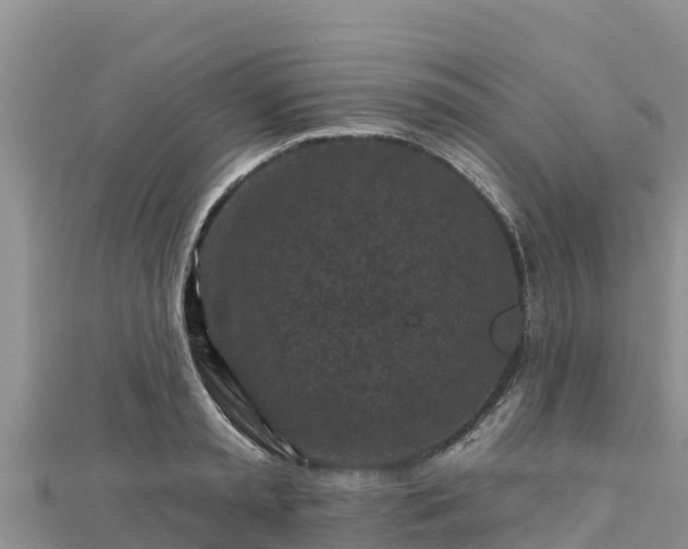 X0000112800797200908281527