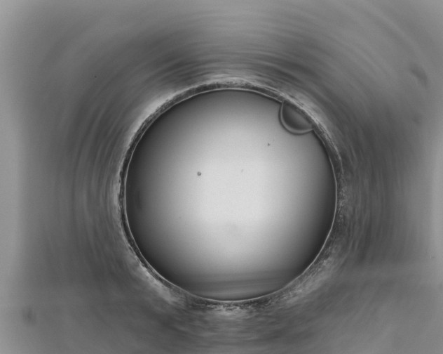 X0000112800799200908281527