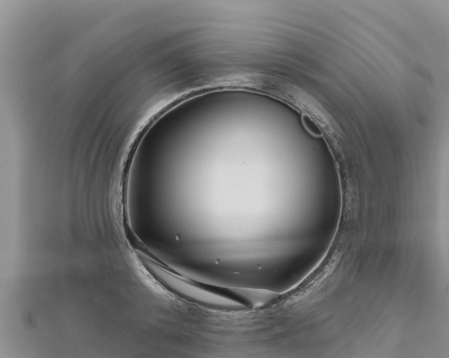 X0000112800800200908281527