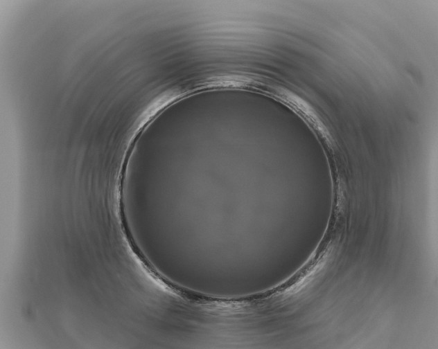 X0000112800802200908281527