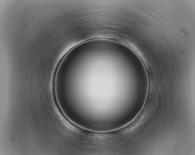 X0000112800803200908281527