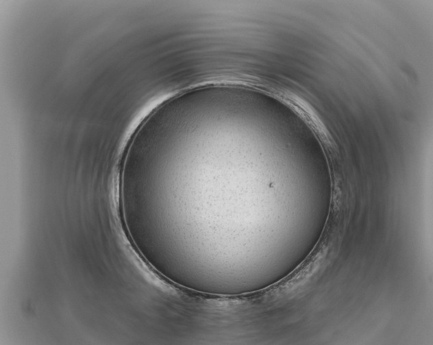 X0000112800804200908281527