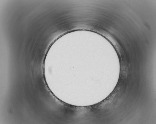 X0000112800807200908281527