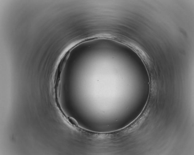 X0000112800808200908281527