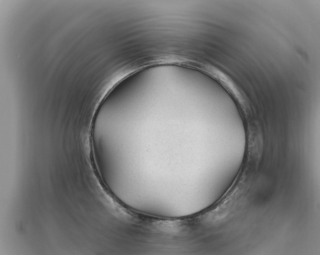 X0000112800810200908281527