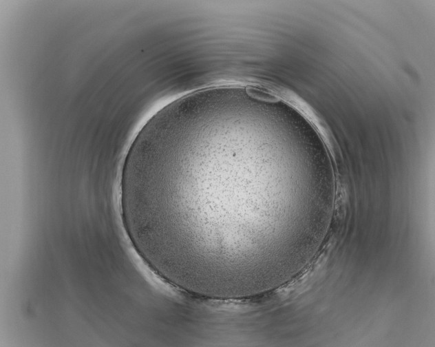 X0000112800811200908281527