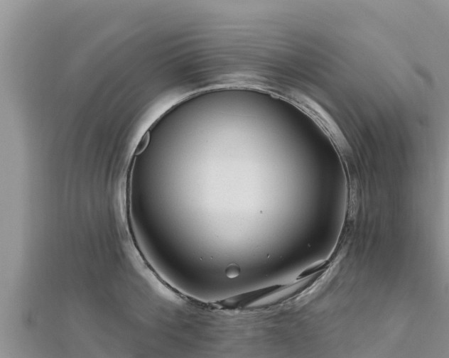 X0000112800812200908281527
