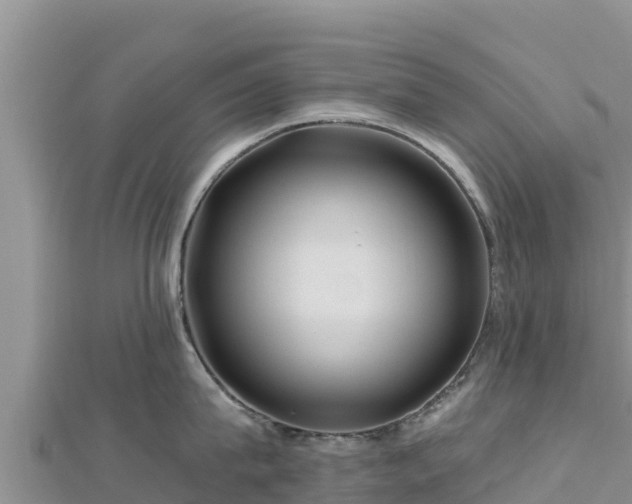 X0000112800815200908281527