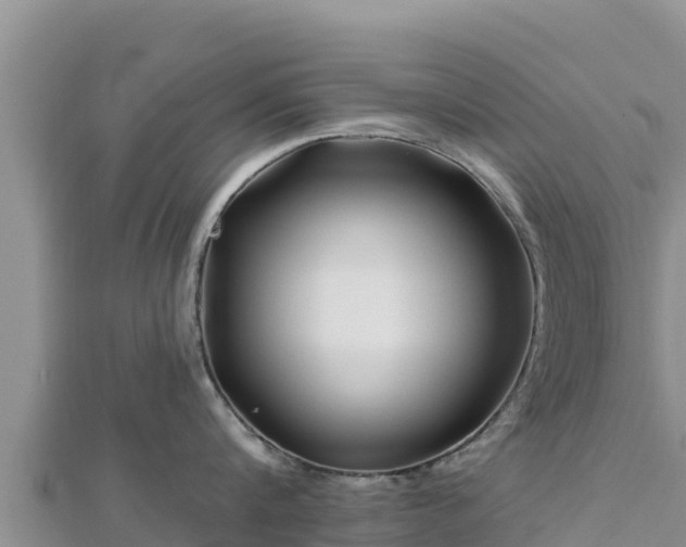 X0000112800816200908281527