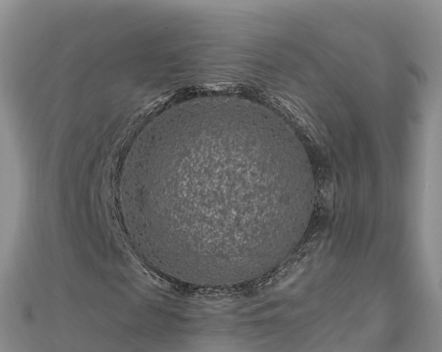 X0000112800817200908281526