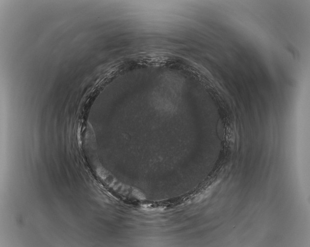 X0000112800818200908281526