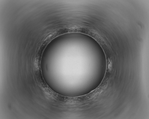 X0000112800819200908281526