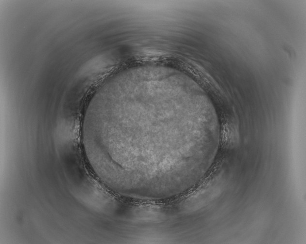 X0000112800820200908281526