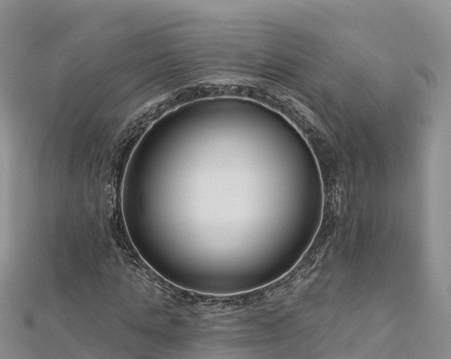 X0000112800821200908281526