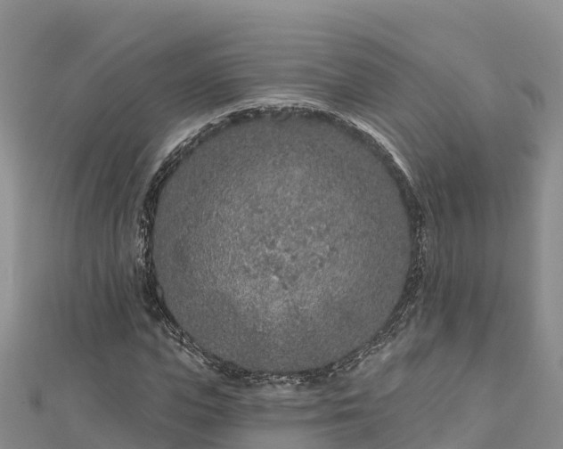 X0000112800823200908281526