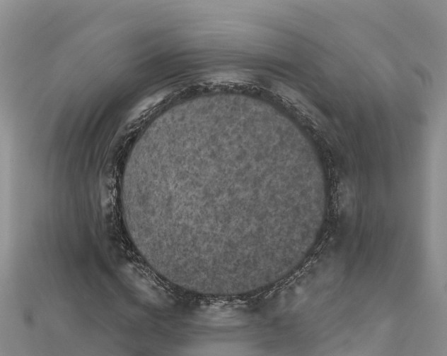 X0000112800824200908281526