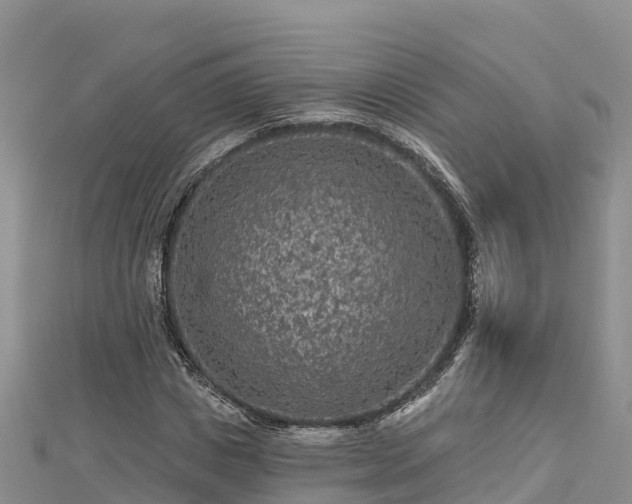 X0000112800825200908281526