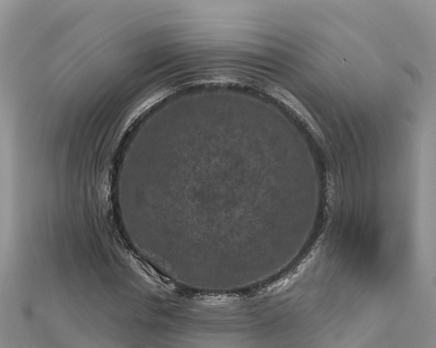 X0000112800826200908281526