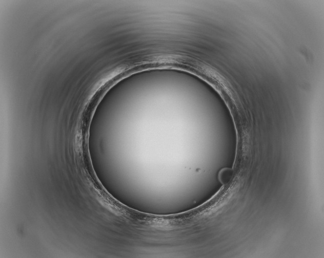 X0000112800827200908281526