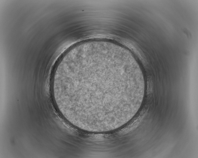 X0000112800828200908281526