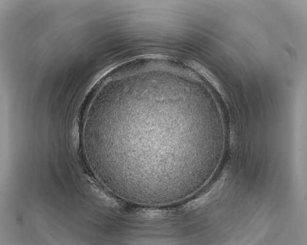 X0000112800829200908281526