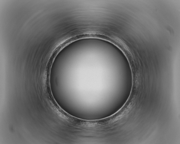 X0000112800831200908281526
