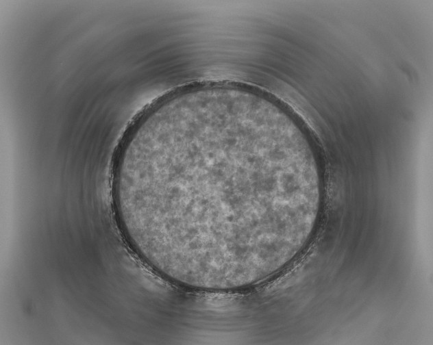 X0000112800832200908281526