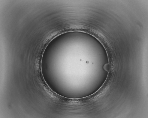 X0000112800833200908281526