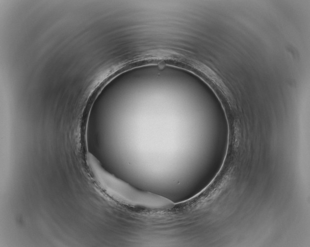 X0000112800834200908281526