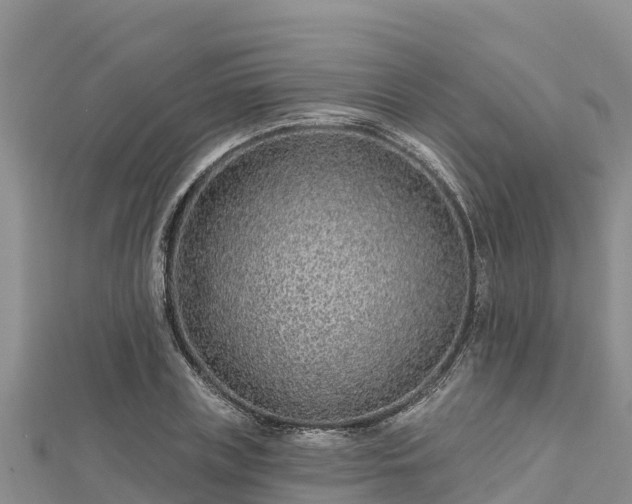 X0000112800835200908281526