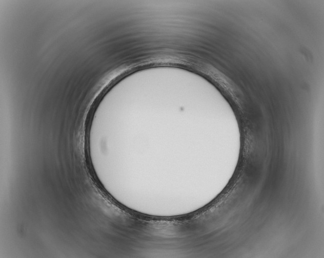 X0000112800836200908281526