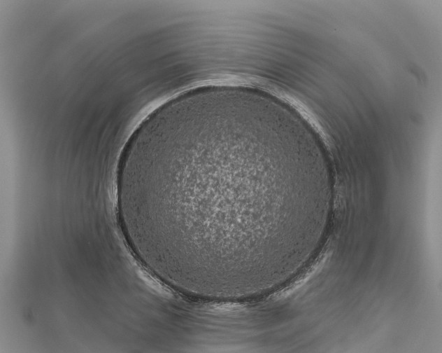 X0000112800837200908281526